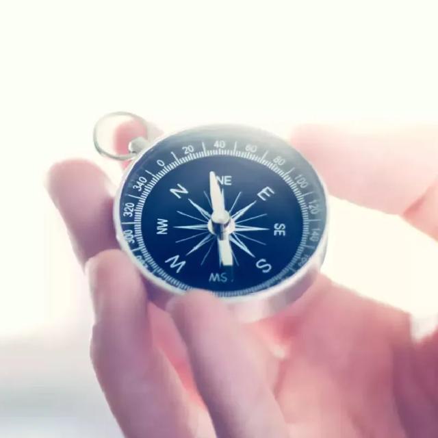 difference between mbo okr